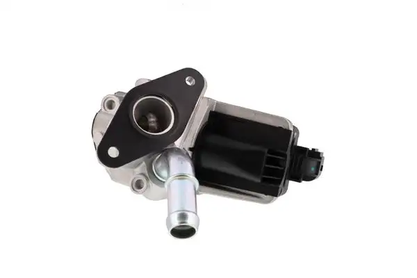 AISIN EGRAZ-7010 EGR Valfi