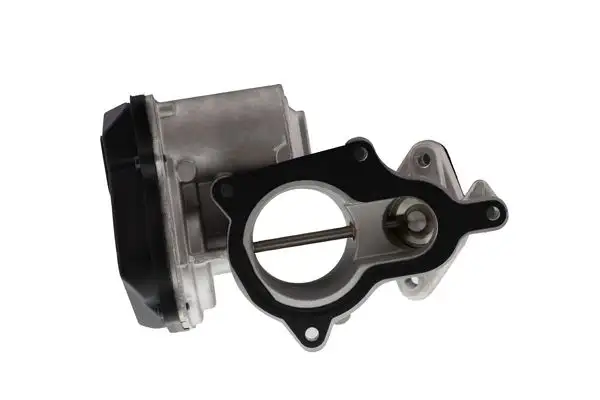 AISIN EGRAZ-7020 EGR Valfi
