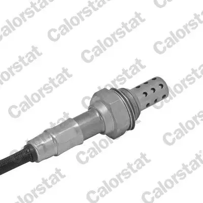 CALORSTAT VERNET LS030070 Oksijen Sensörü 95638617