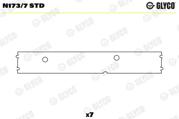 GLYCO N173/7-STD Eksantrik Yatağı 370661