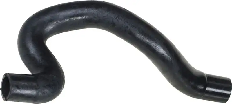 RAPRO R12449 Kalorifer Hortumu 7700420940