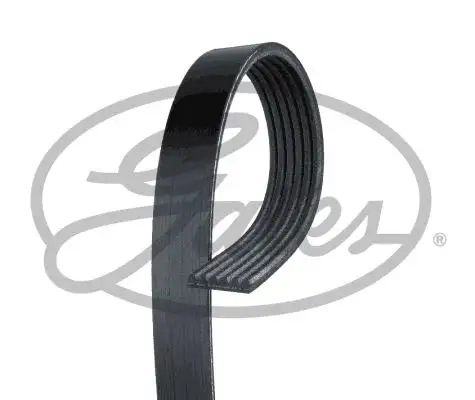 GATES ROADMAX 1873K6 Kayış