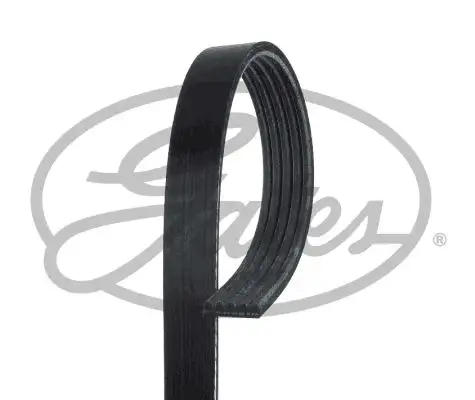 GATES ROADMAX 940K5 Kayış