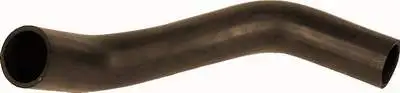 GROS T17113 Radyatör Alt Hortumu MC390038