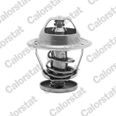 CALORSTAT VERNET TH5079.82J Termostat