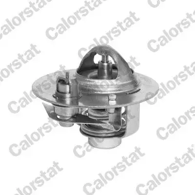 CALORSTAT VERNET TH5980.88J Termostat