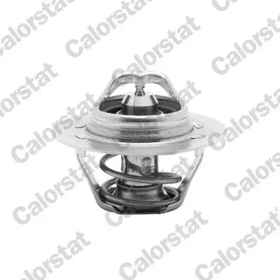 CALORSTAT VERNET TH6045.89 Termostat