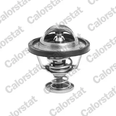 CALORSTAT VERNET TH6295.82J Termostat