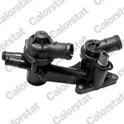 CALORSTAT VERNET TH7168.87J Termostat
