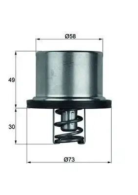 MAHLE THD179 Termostat