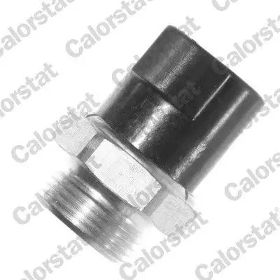 CALORSTAT VERNET TS1946 Fan Müşiri