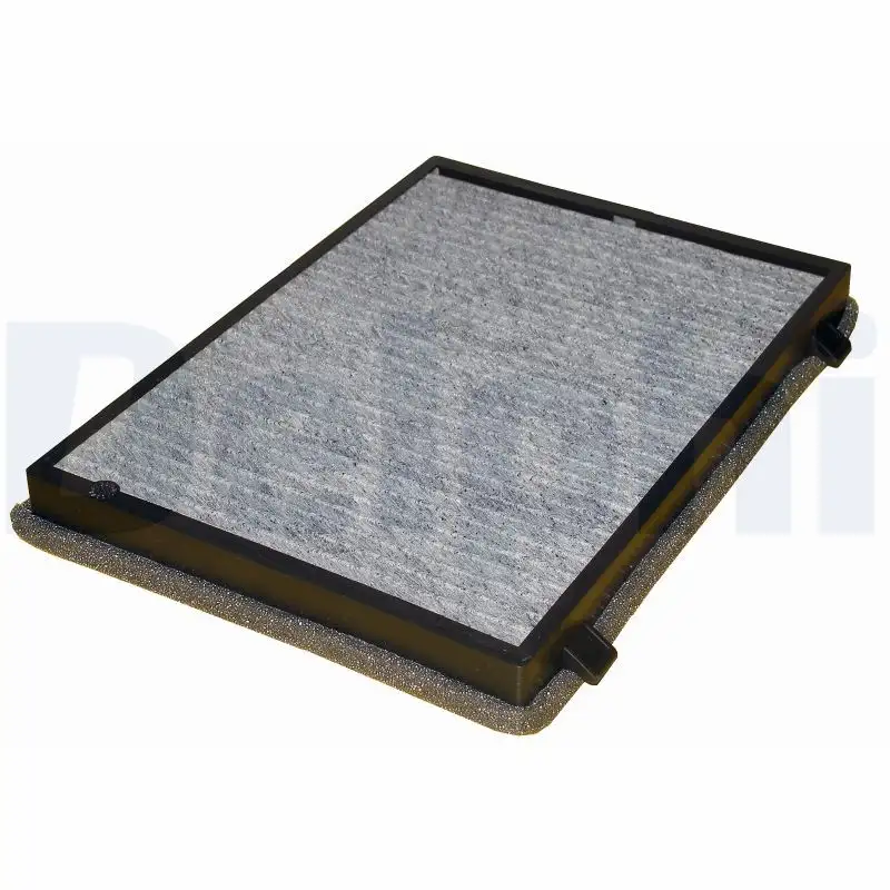 DELPHI TSP0325263C Polen Filtresi (Karbonlu)
