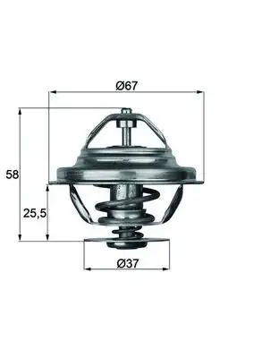 MAHLE TX2080D Termostat