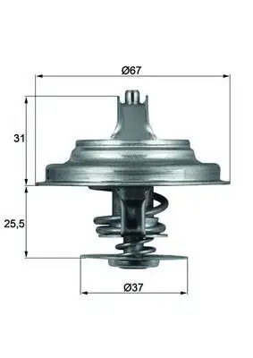 MAHLE TX2571D Termostat 076121113A