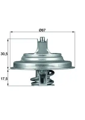MAHLE TX5483D Termostat A0042031675
