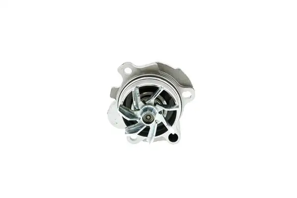 AISIN WE-VW09 Devirdaim