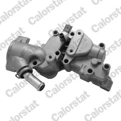CALORSTAT VERNET WF0126M Su Flanşı 1336Y8