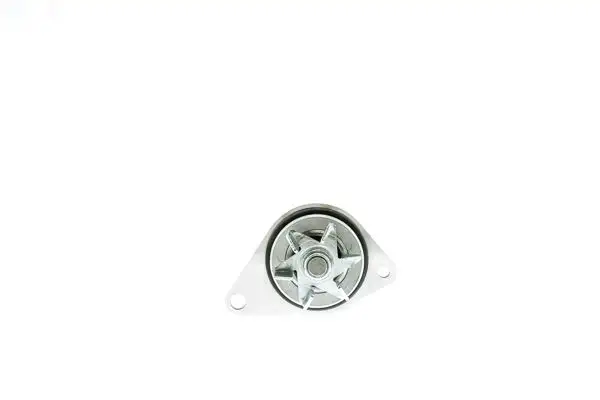 AISIN WPPG-003V Devirdaim 1609417080